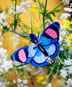 Studio Roof Small Peacock Butterfly