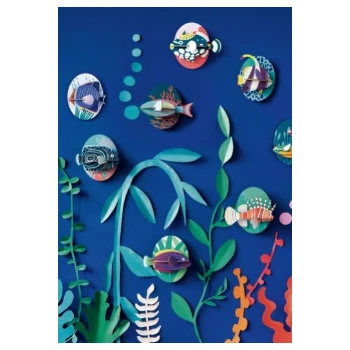 Studio Roof Marine AngelFish 5 Studio Roof Marine AngelFish