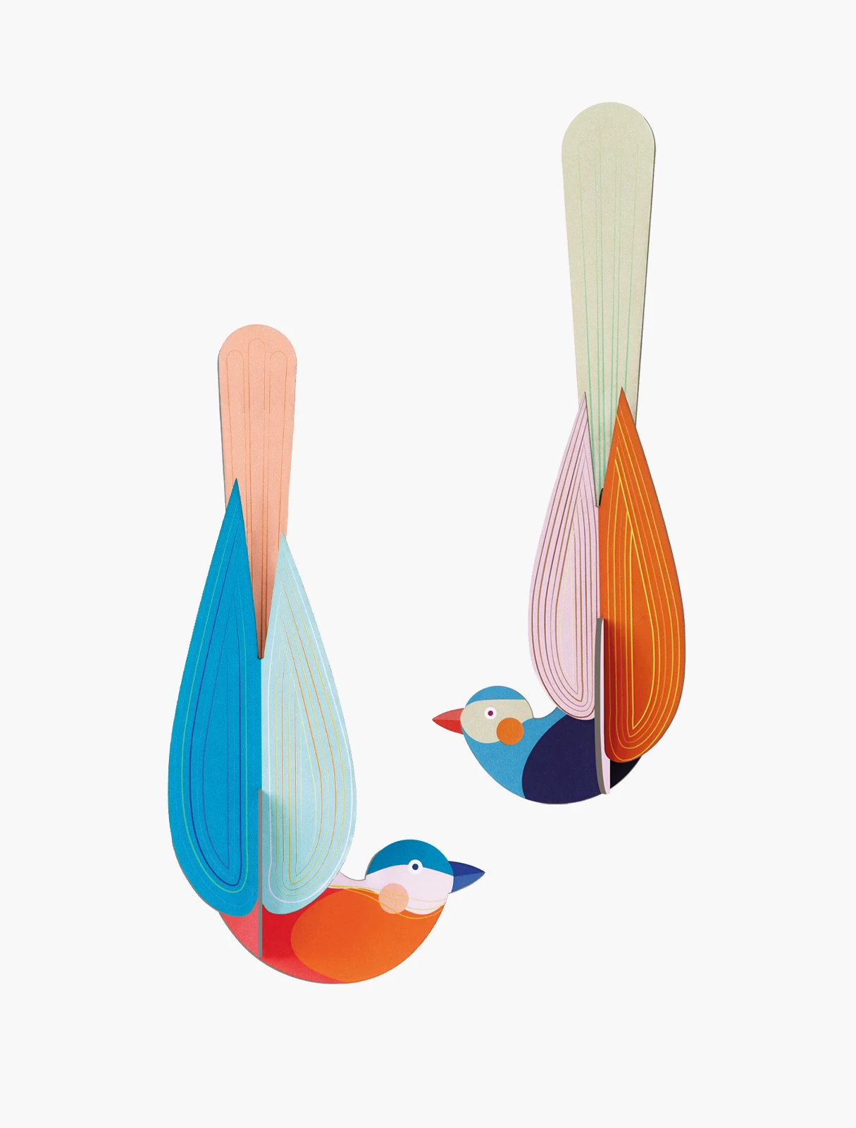 Studio Roof 3D Paradise Bird Muna 3 Studio Roof 3D Paradise Bird Muna