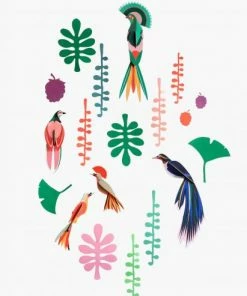 Studio Roof Bird Observer 5 Paradise Birds