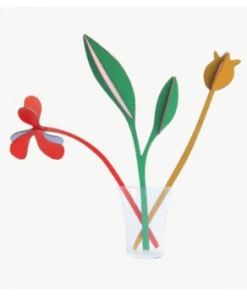 Studio Roof Spring Boogie