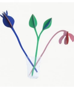 Studio Roof Summer Jazz